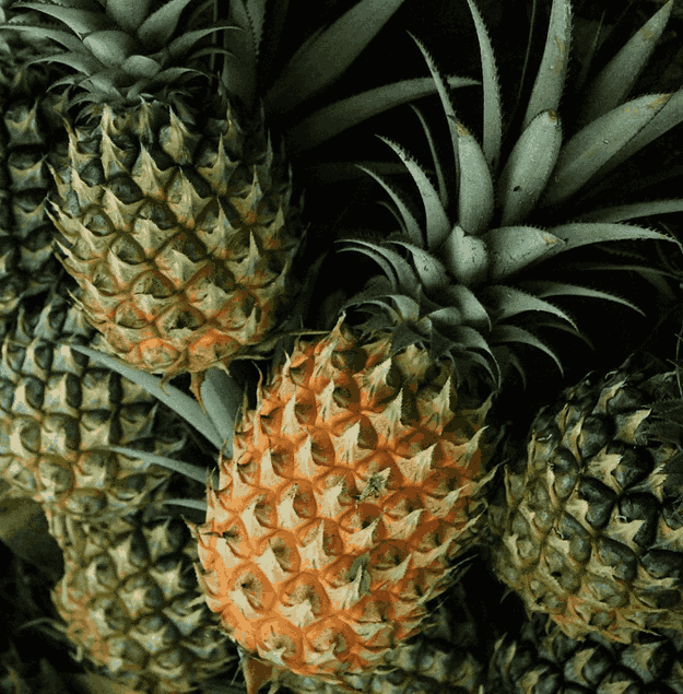 pineapple-1