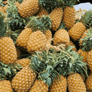 pineapple-3
