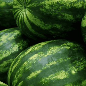 watermelon-2